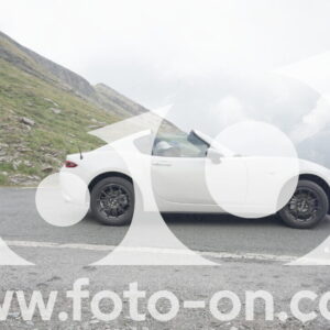 thumb_DSC01351