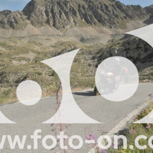 thumb_DSC_1140