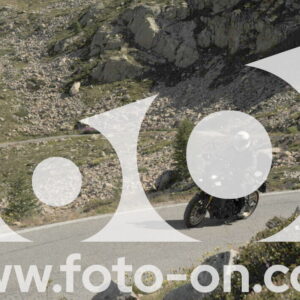 thumb_DSC_1169