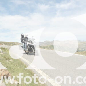 thumb_DSC_1340