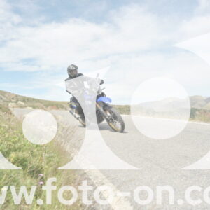 thumb_DSC_1353