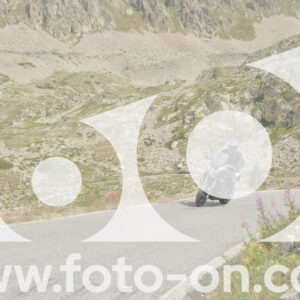 thumb_DSC_1439