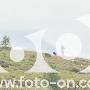 thumb_DSC_1461