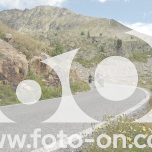 thumb_DSC_1696