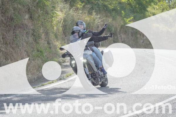 <h1 class="product-title">thumb_FF100223</h1>