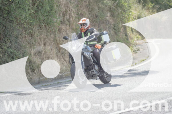 <h1 class="product-title">thumb_FF100269</h1>