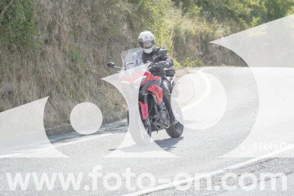 <h1 class="product-title">thumb_FF100313</h1>