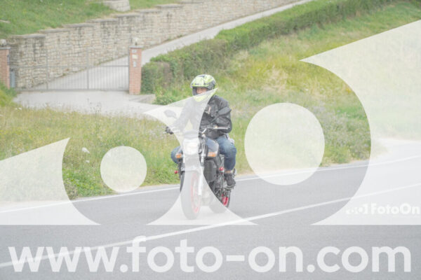 <h1 class="product-title">thumb_FF100379</h1>
