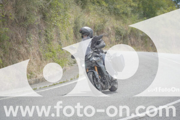 <h1 class="product-title">thumb_FF102826</h1>