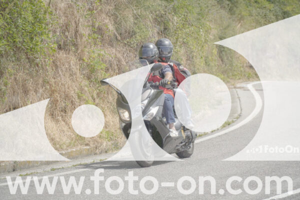 <h1 class="product-title">thumb_FF103242</h1>