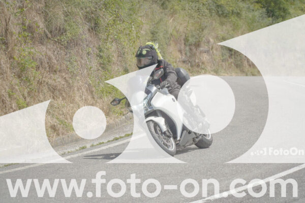 <h1 class="product-title">thumb_FF103283</h1>