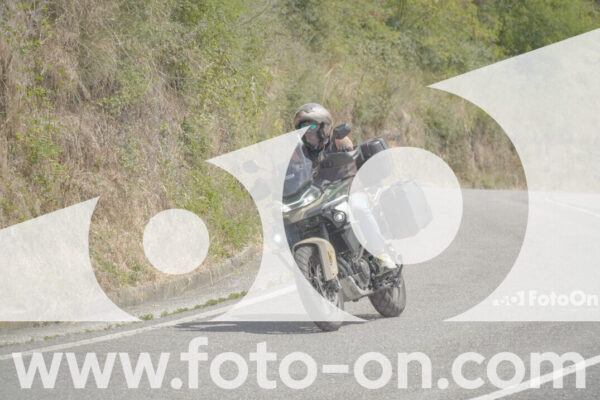 <h1 class="product-title">thumb_FF103336</h1>
