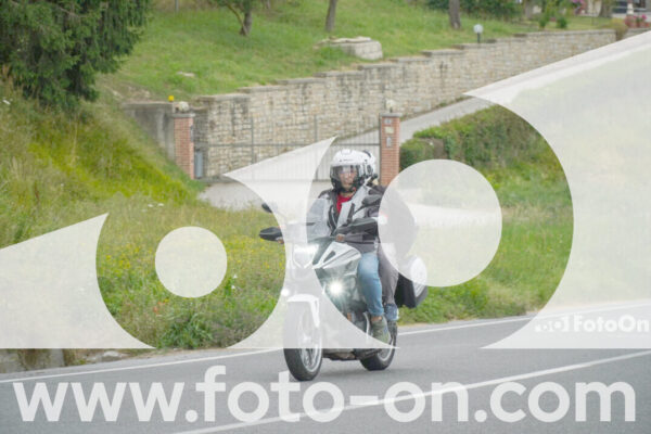 <h1 class="product-title">thumb_FF103337</h1>