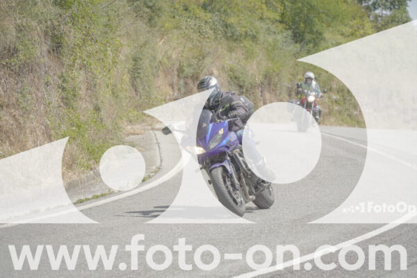 <h1 class="product-title">thumb_FF103342</h1>