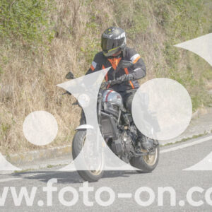 thumb_FF103909