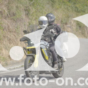 thumb_FF103912
