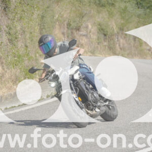 thumb_FF103933