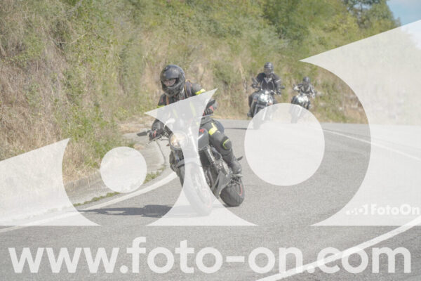 <h1 class="product-title">thumb_FF103945-1</h1>