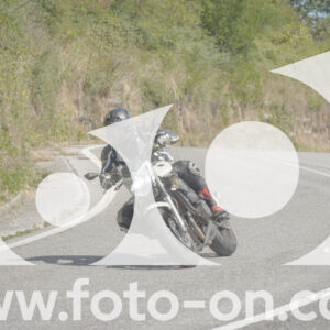 thumb_FF103949