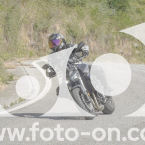 thumb_FF103960
