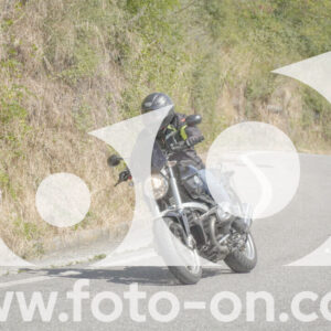 thumb_FF104003
