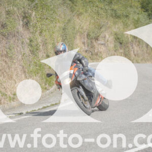 thumb_FF104134