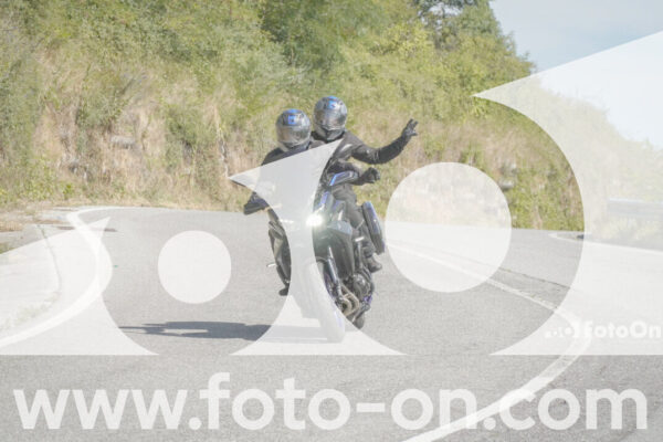 <h1 class="product-title">thumb_FF104141</h1>