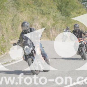 thumb_FF104215
