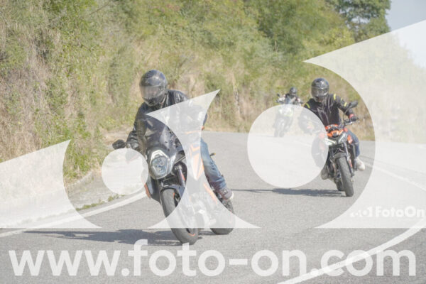 <h1 class="product-title">thumb_FF104215</h1>