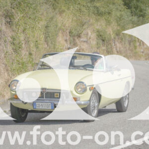 thumb_FF104229