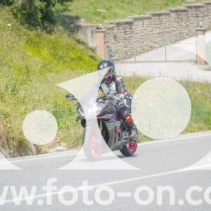 thumb_FF104239