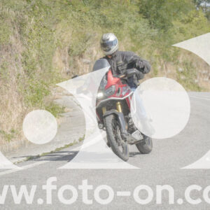 thumb_FF104252