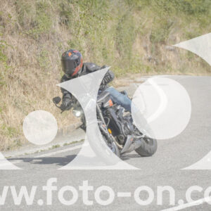 thumb_FF104264