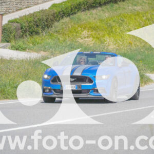 thumb_FF104299