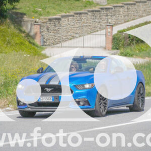thumb_FF104305