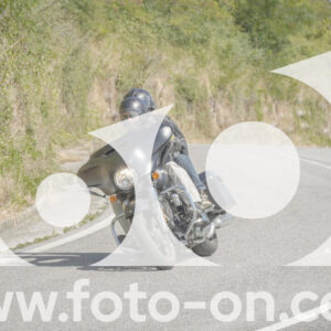 thumb_FF104325