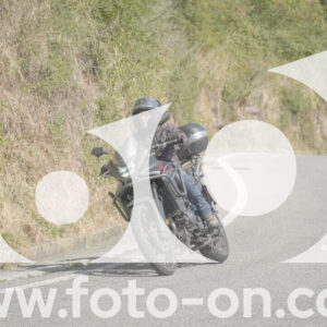 thumb_FF104362
