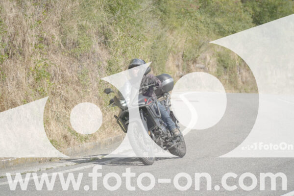 <h1 class="product-title">thumb_FF104362</h1>