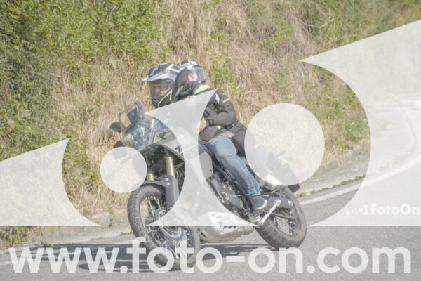 <h1 class="product-title">thumb_FF104381</h1>