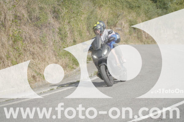 <h1 class="product-title">thumb_FF104445-1</h1>