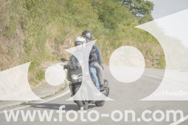 <h1 class="product-title">thumb_FF104459</h1>