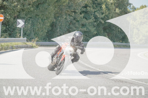 <h1 class="product-title">thumb_FF104493-1</h1>