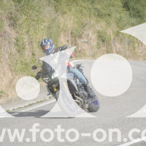 thumb_FF104508