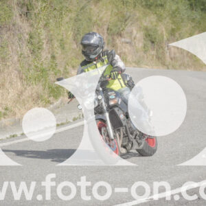 thumb_FF104537