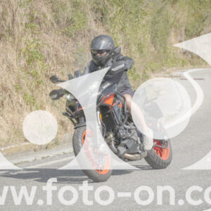 thumb_FF104539