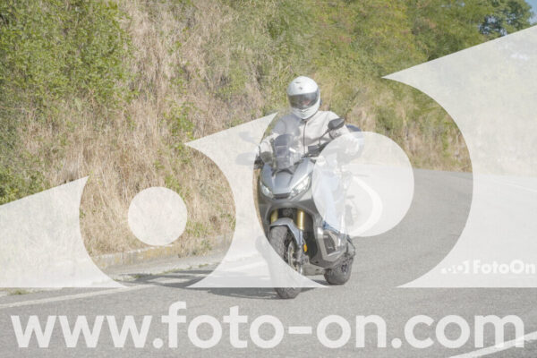 <h1 class="product-title">thumb_FF104660-1</h1>