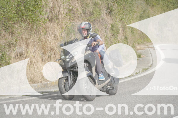 <h1 class="product-title">thumb_FF104670</h1>