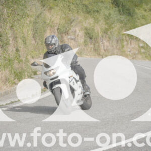 thumb_FF104693