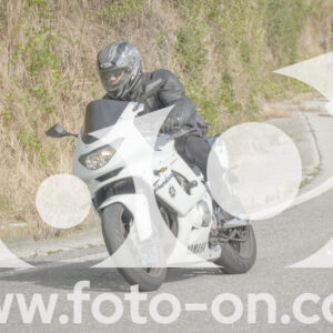 thumb_FF104695