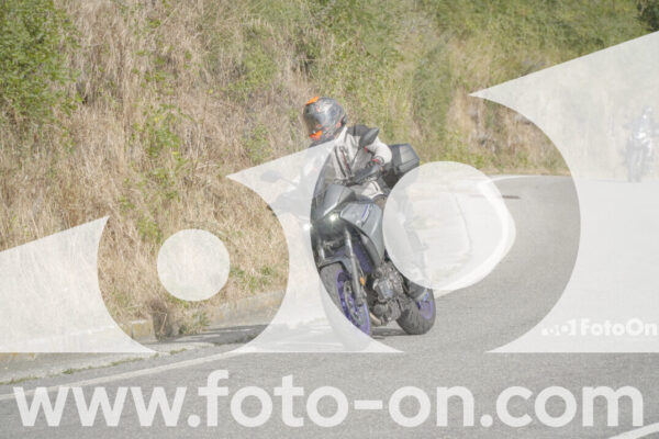 <h1 class="product-title">thumb_FF104792</h1>